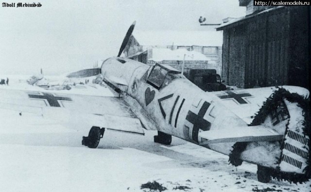 зимний филип.jpg